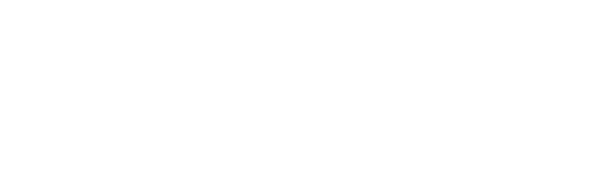 Logo Power One to One